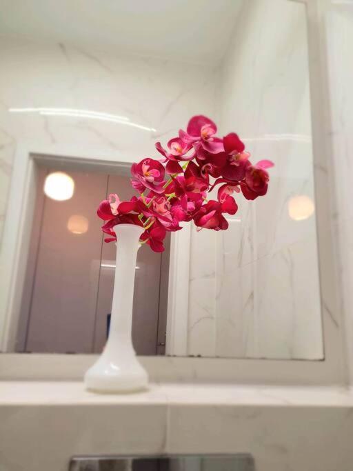 Apartment Sophie 3 Rooms, 2 Bathrooms, 8 Persons 克拉科夫 外观 照片